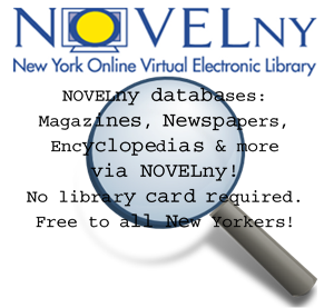 Novel New York databases