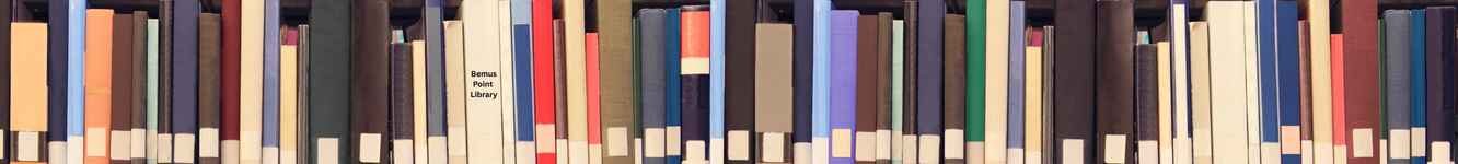 Bemus Point Public Library